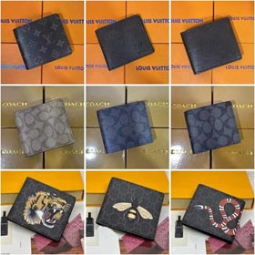 Louis Vuitton LV Brieftasche (eigene Fabrik kann Großhandel) -0170