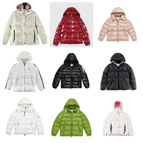 Moncler Montbeliard Serie Kapuze warm kurzer Reißverschluss Daunenjacke-4306  