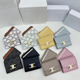 Celine neue Klappe Brieftasche mit abnehmbarem Geld Clip-5824  