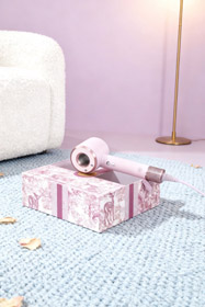 Dior D9 Negative Ion Hochgeschwindigkeit ​​ Haartrockner-6000  